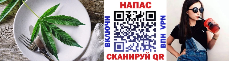 магазин    Вольск  Cannafood конопля 