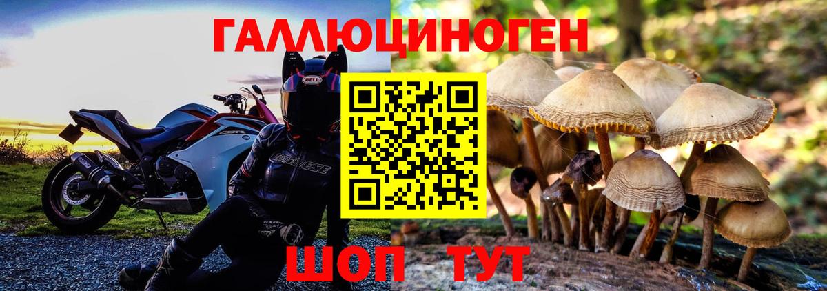 Галлюциногенные грибы мухоморы  Псилоцибиновые грибы Magic Shrooms  Вольск  Вход с VPN 